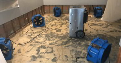 How to Identify and Repair Water Damage