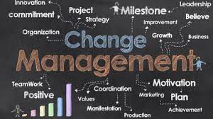 Exploring the Benefits of Change Management Training