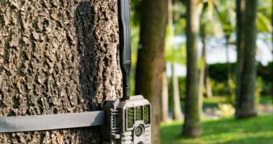 Is a Trail Camera Right for You?