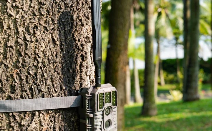 Is a Trail Camera Right for You?