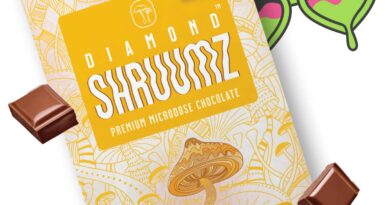 Where Can You Find Shruumz Chocolate Bars?