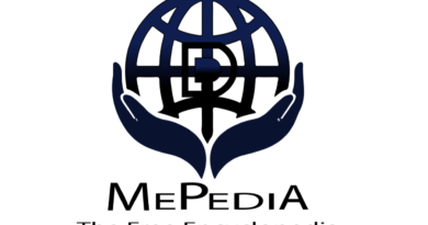Is There an Alternative to Wikipedia? Exploring Mepedia