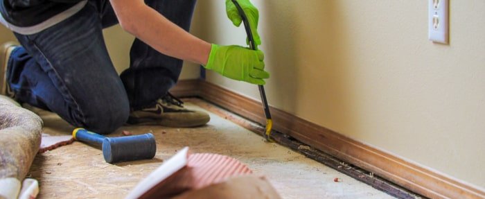 Identifying Signs of Water Damage in Castle Rock: What Homeowners Should Know