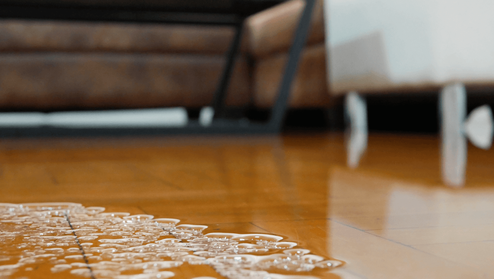 The Ultimate Guide to Water Damage Cleaning in NJ Homes