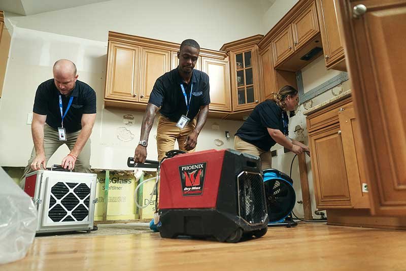 Expert Guide to LA Sewage Cleanup for Homes and Businesses