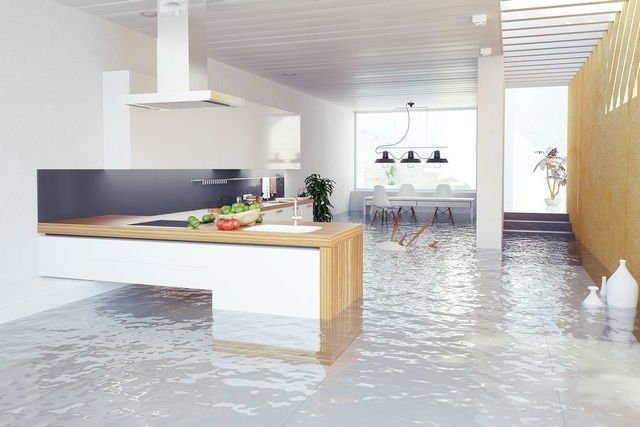 Water Damage Restoration: Steps Experts Take to Protect Your Home