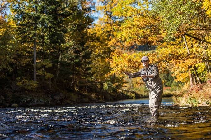 Fly Fishing: A Complete Guide for Beginners and Outdoor Enthusiasts